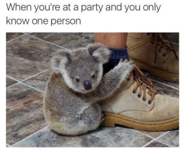 Is There Anyone Who Knows How To Act At A Party?