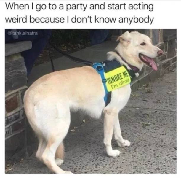 Is There Anyone Who Knows How To Act At A Party?