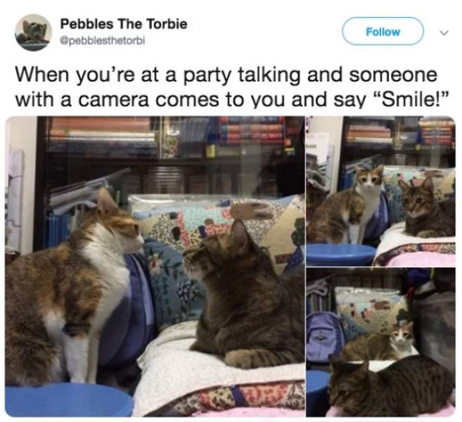 Is There Anyone Who Knows How To Act At A Party?