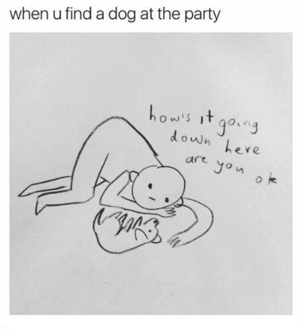 Is There Anyone Who Knows How To Act At A Party?