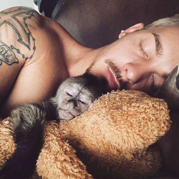 Swiss Man Gets Rid Of Everything He Had And Moves To Africa To Help Animals