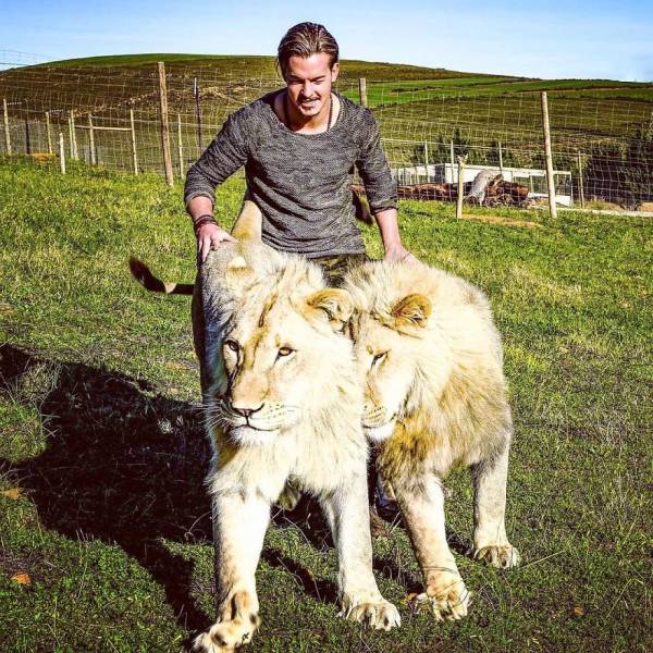 Swiss Man Gets Rid Of Everything He Had And Moves To Africa To Help Animals