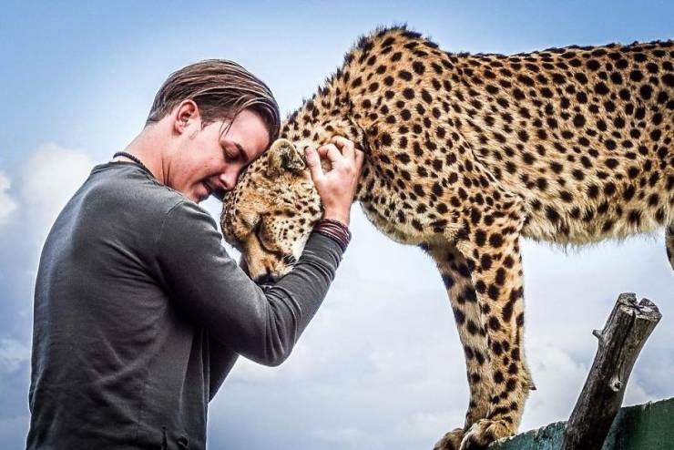 Swiss Man Gets Rid Of Everything He Had And Moves To Africa To Help Animals