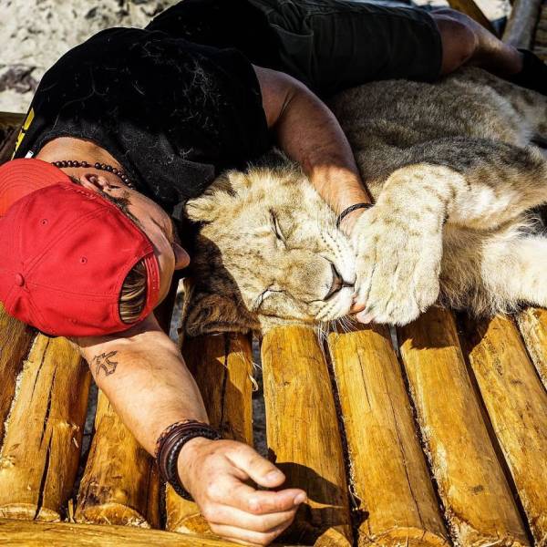 Swiss Man Gets Rid Of Everything He Had And Moves To Africa To Help Animals