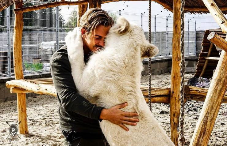 Swiss Man Gets Rid Of Everything He Had And Moves To Africa To Help Animals