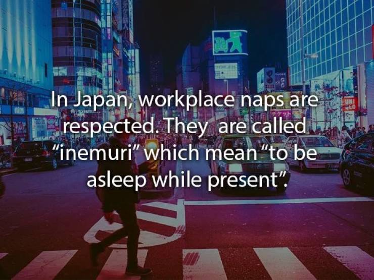 Rest With These Nap Facts