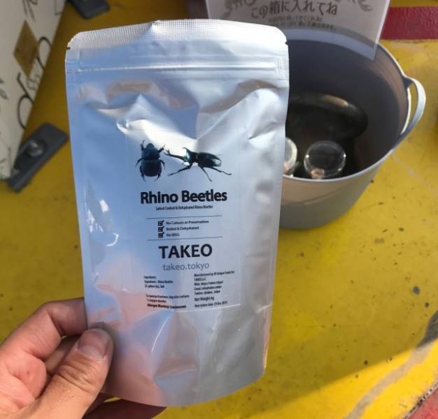 Yum, Rhino Beetles