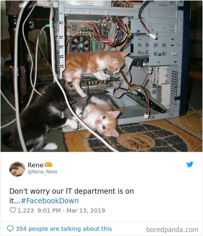 Instagram And Facebook – Down. Memes – Up