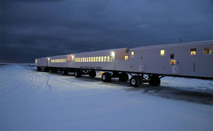 A Mobile Hotel Among Polar Bears