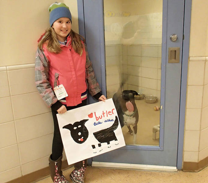 These Animals Are Definitely Having A Good Time At The Shelter