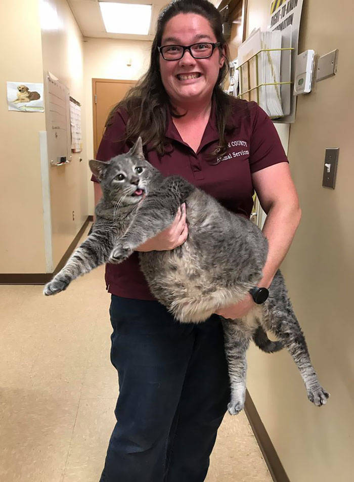 These Animals Are Definitely Having A Good Time At The Shelter