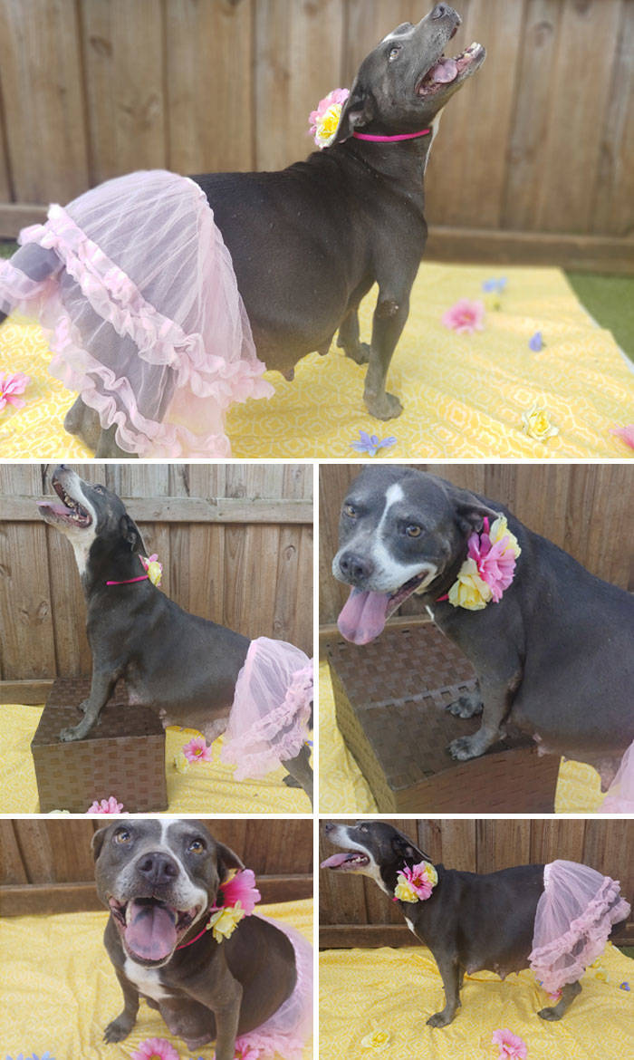 These Animals Are Definitely Having A Good Time At The Shelter