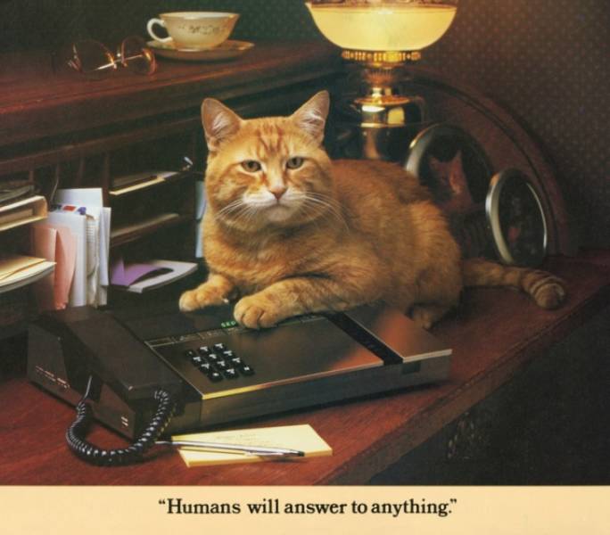 Cat Morris And His Bada## Vintage Calendar