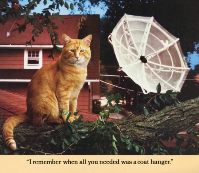 Cat Morris And His Bada## Vintage Calendar