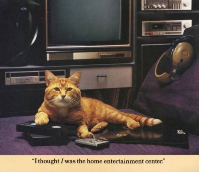 Cat Morris And His Bada## Vintage Calendar