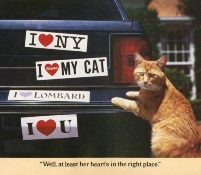 Cat Morris And His Bada## Vintage Calendar