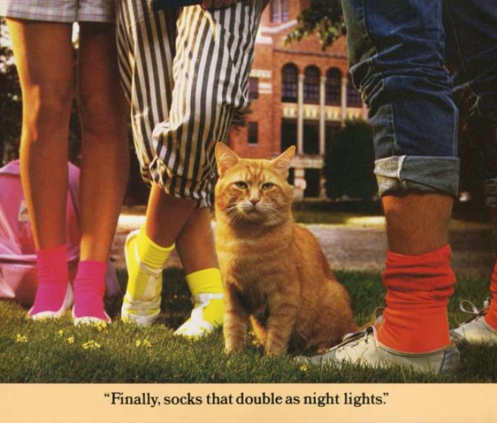 Cat Morris And His Bada## Vintage Calendar