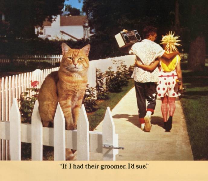 Cat Morris And His Bada## Vintage Calendar