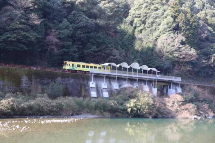 This Japanese Train Station Only Exists So That People Can Admire The Scenery