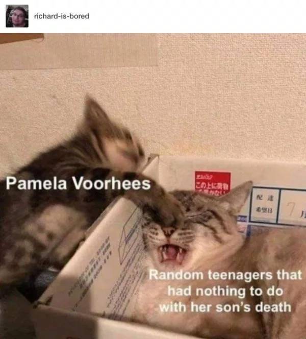 Horror Movie Memes Perfect For Sleeping With The Lights On Horror Movie Memes Perfect For Sleeping With The Lights On