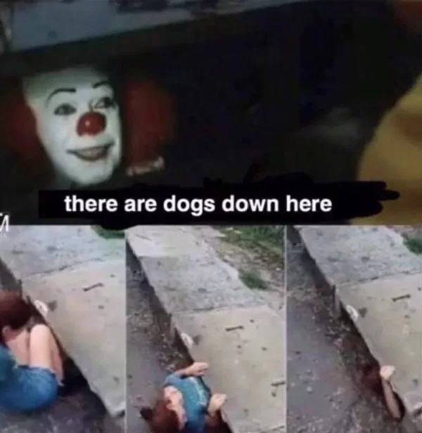 Horror Movie Memes Perfect For Sleeping With The Lights On Horror Movie Memes Perfect For Sleeping With The Lights On