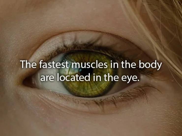 Oh, The Wonders Of Human Body…
