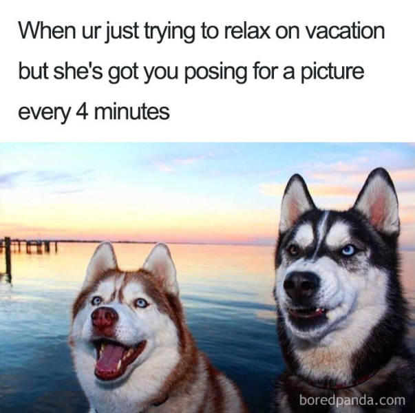 Travel Around The World With These Memes