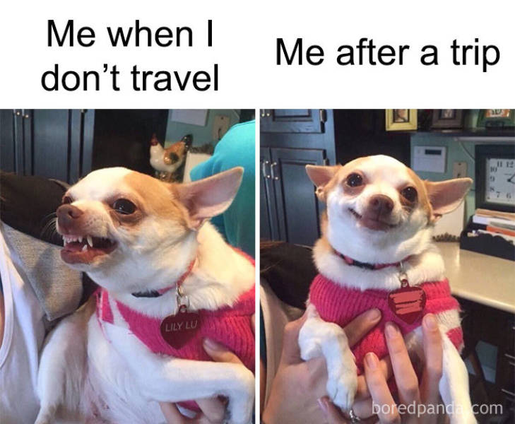 Travel Around The World With These Memes