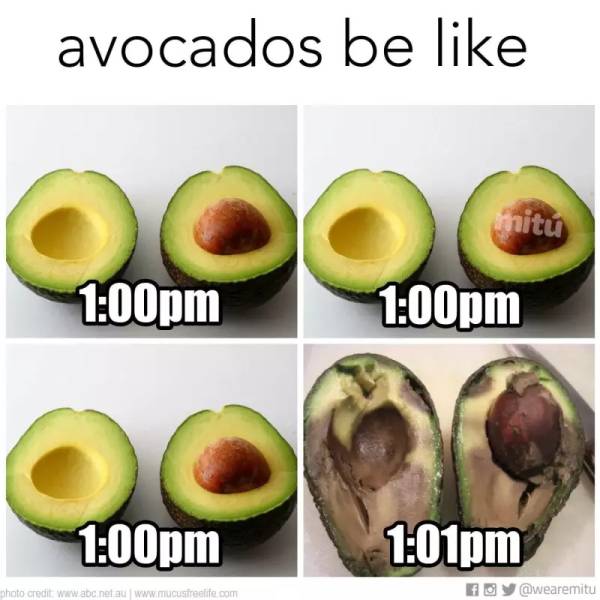 Is Avocadomania A Thing?