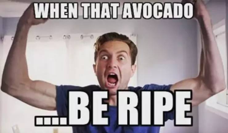 Is Avocadomania A Thing?