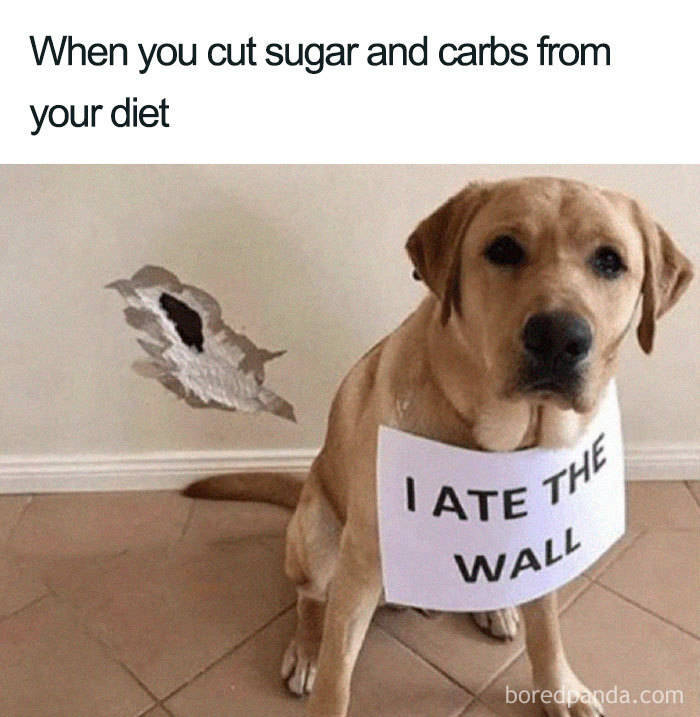 Try To Lose Weight With The Help Of These Memes