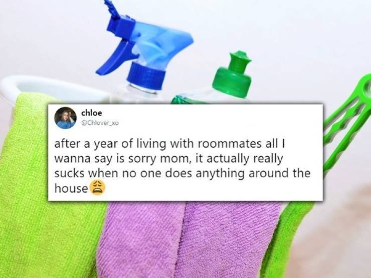 Living With Roommates Is Not A Very Pleasant Experience…