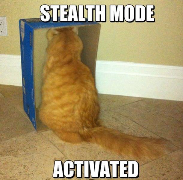 Stealth Mode Activated