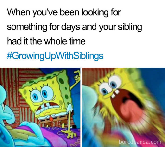 Siblings Are Always In A State Of War