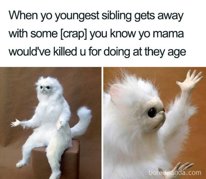 Siblings Are Always In A State Of War