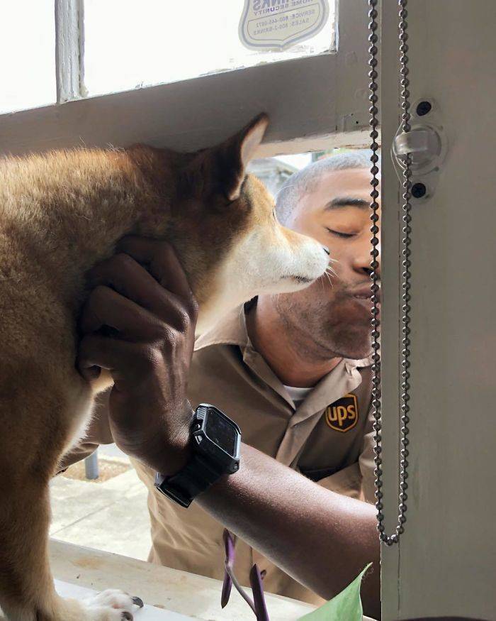 This UPS Driver Loves Each And Every Dog In The World!