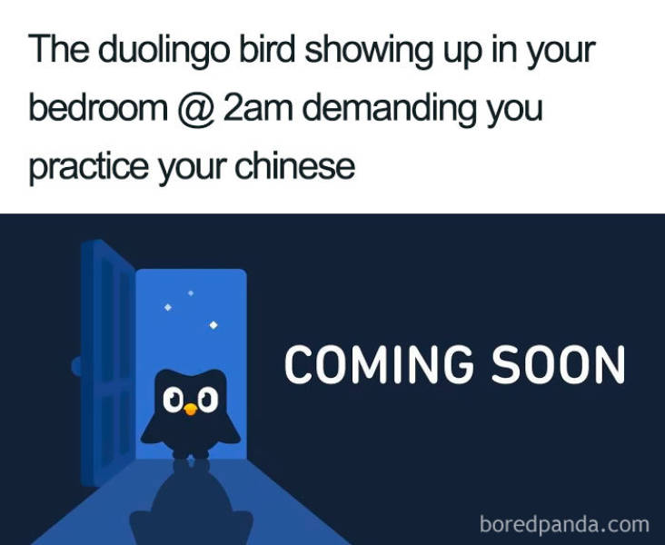 Duolingo Bird Is A Sociopath!