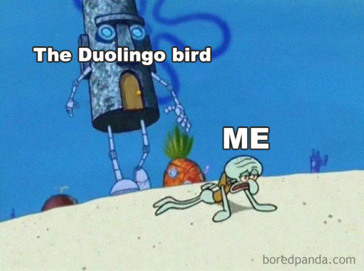 Duolingo Bird Is A Sociopath!