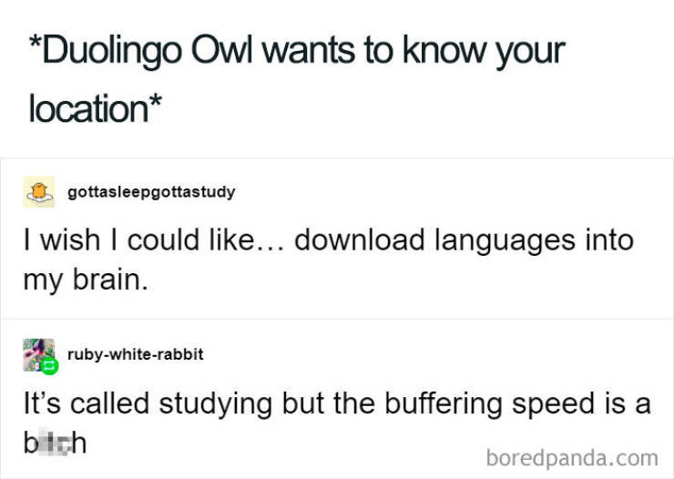 Duolingo Bird Is A Sociopath!