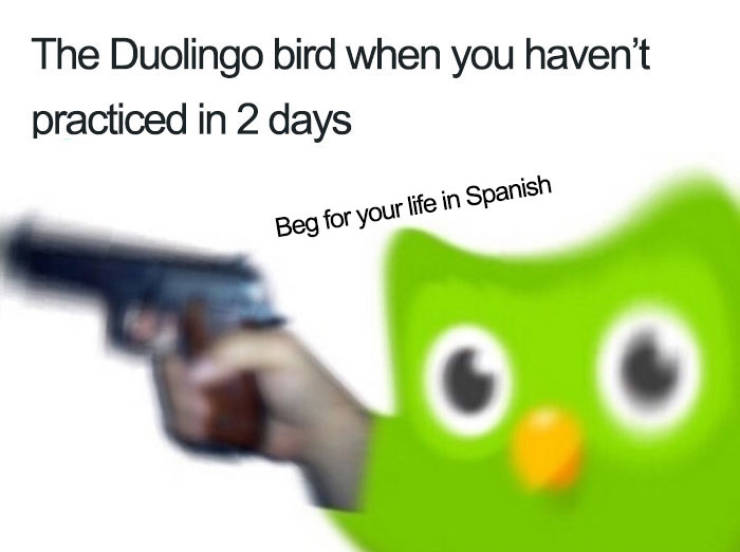 Duolingo Bird Is A Sociopath! (30 pics)