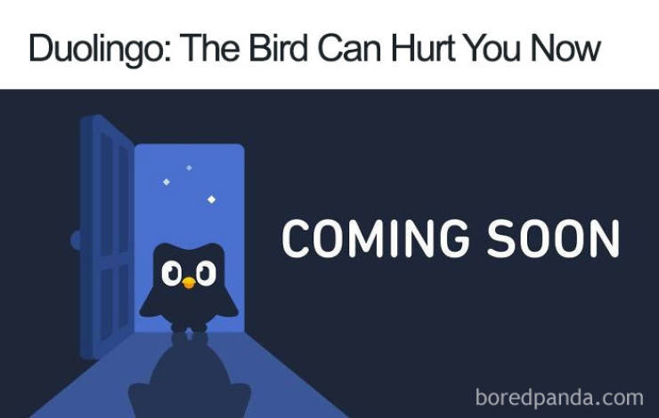 Duolingo Bird Is A Sociopath!