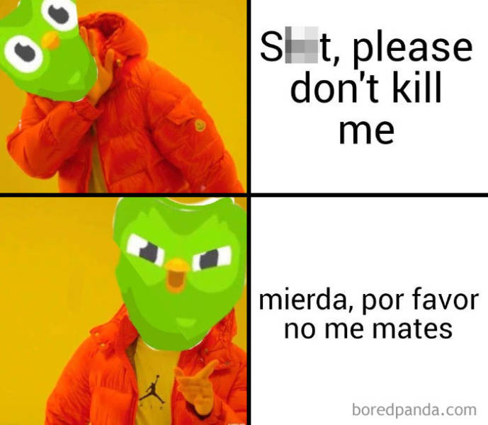 Duolingo Bird Is A Sociopath!