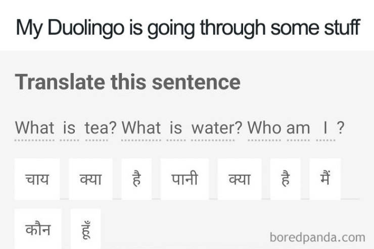 Duolingo Bird Is A Sociopath!