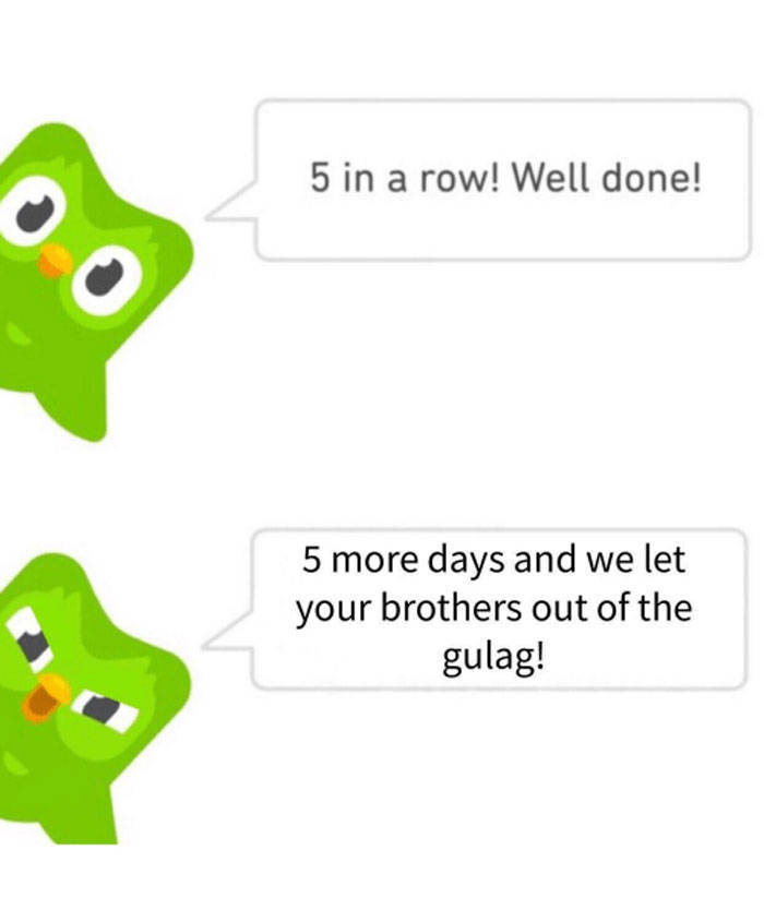 Duolingo Bird Is A Sociopath! (30 pics)