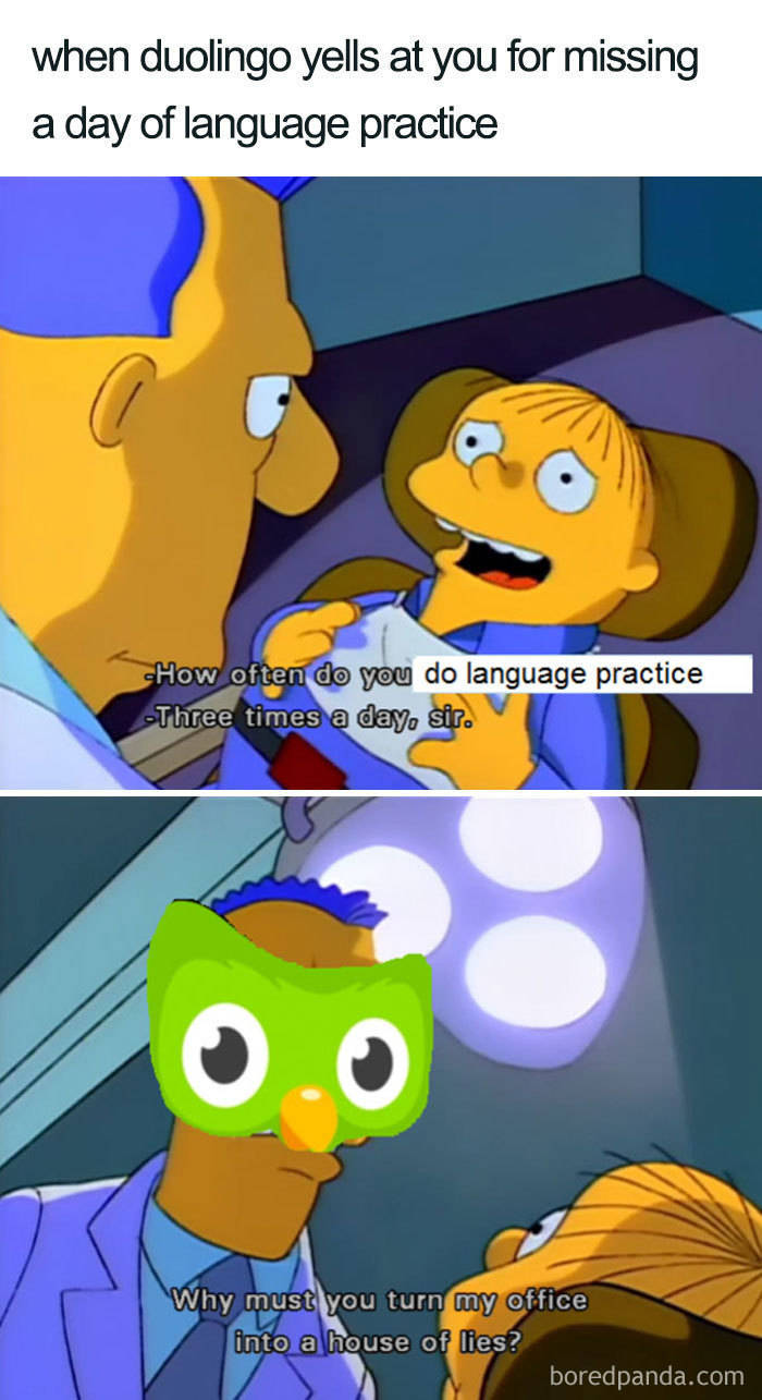 Duolingo Bird Is A Sociopath!