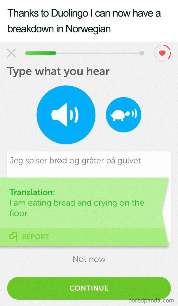 Duolingo Bird Is A Sociopath!
