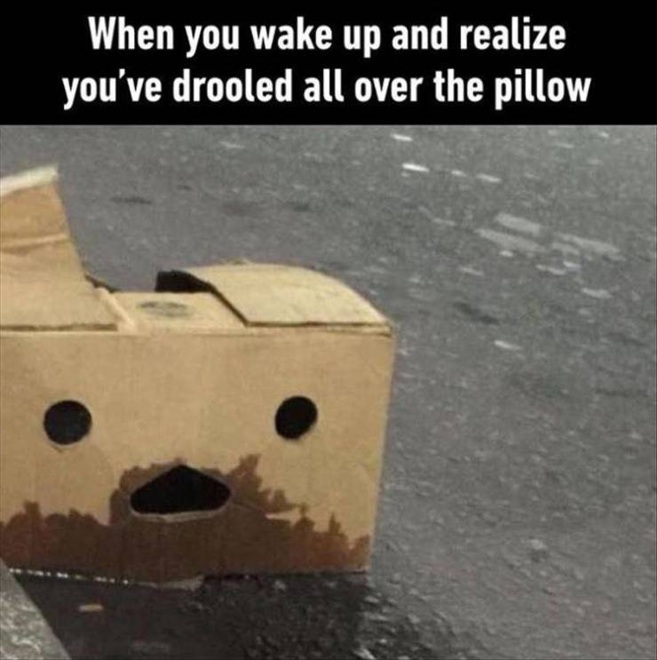 Funny Picdump