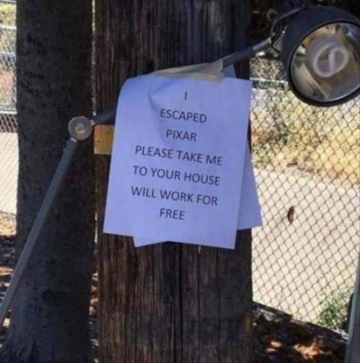 Funny Picdump