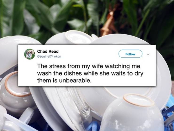 Married Life Is Survival Of The Fittest