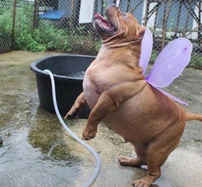 Morning Picdump